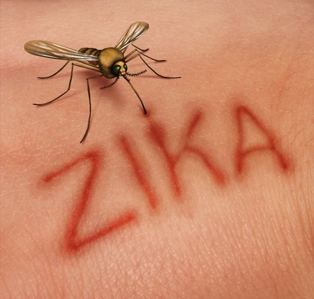 What Should You Know About the Zika Virus